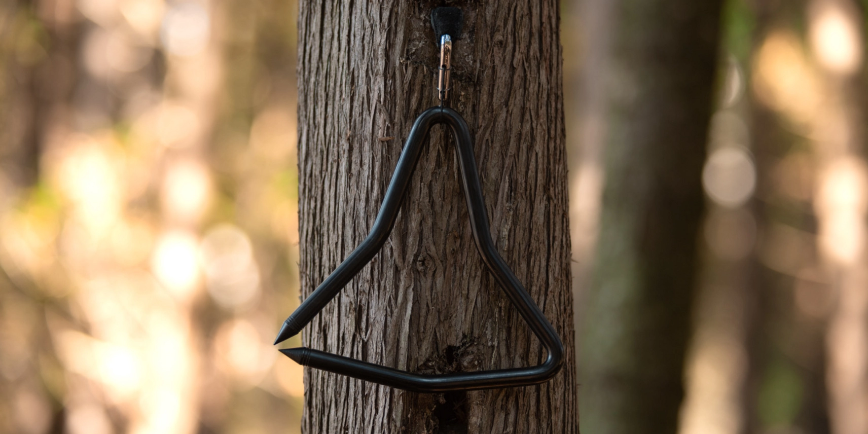 Photo d'un triangle accroché à un arbre