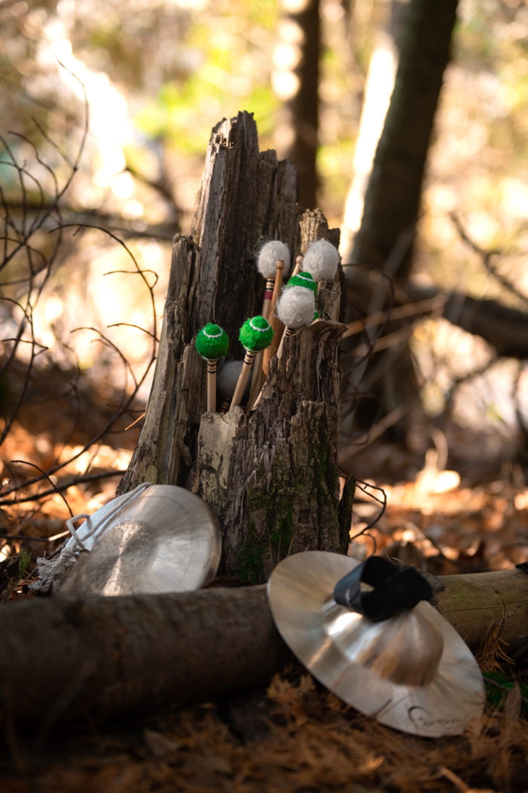 Photo de baguettes et de cymbales sur le sol forestier